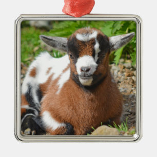Adorable Baby Goat Kid Metal Ornament
