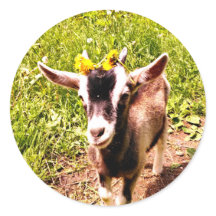 Adorable Baby Goat with Flowers Sheet of Stickers