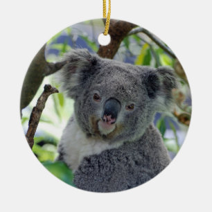 Adorable baby koala Christmas ornament