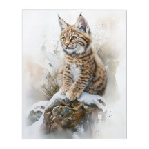 Adorable Baby Lynx – Watercolor Acrylic Art