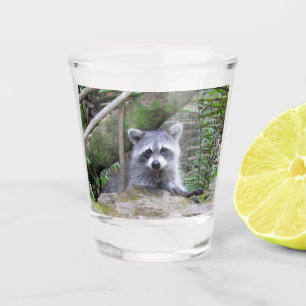 Adorable Baby Racoon Shot Glass