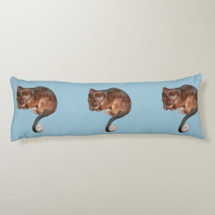 Adorable Baby Ringtail Possum in Australia Body Cushion