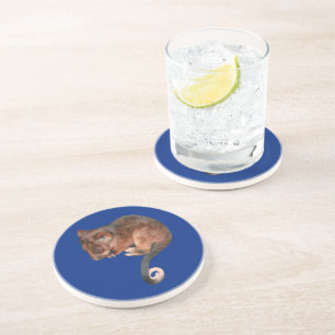 Adorable Baby Ringtail Possum in Australia Coaster
