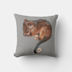 Adorable Baby Ringtail Possum in Australia Cushion