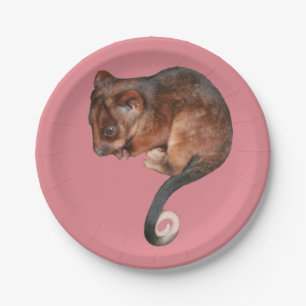 Adorable Baby Ringtail Possum in Australia Paper Plate