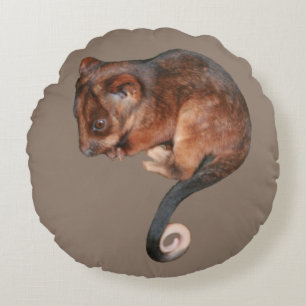 Adorable Baby Ringtail Possum in Australia Round Cushion
