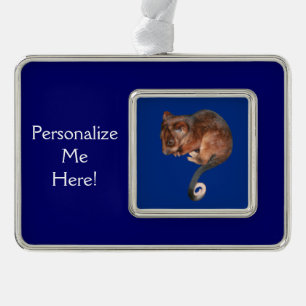 Adorable Baby Ringtail Possum in Australia Silver Plated Framed Ornament
