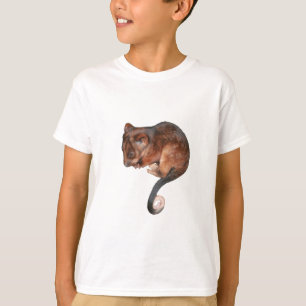 Adorable Baby Ringtail Possum in Australia T-Shirt