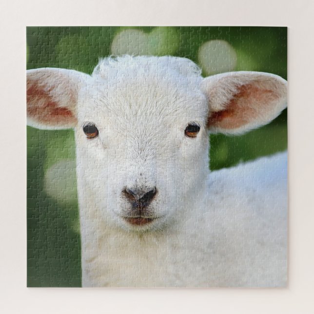 Adorable Baby Sheep Jigsaw Puzzle (Vertical)
