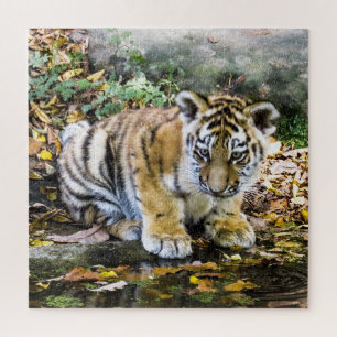Adorable Baby Tiger Cub Jigsaw Puzzle