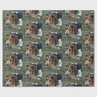 Adorable Beagle Chewing A Bone Wrapping Paper
