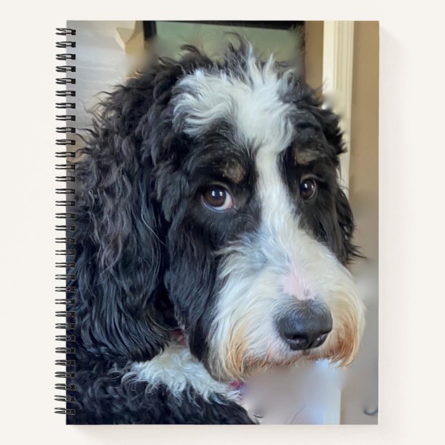 Adorable Bernedoodle Notebook (Front)