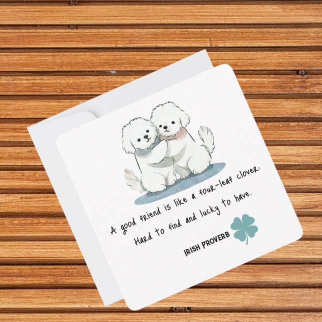 Adorable Bichon Friends with a Quote Card (Creator Uploaded)