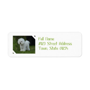 Adorable Bichon Return Address Label