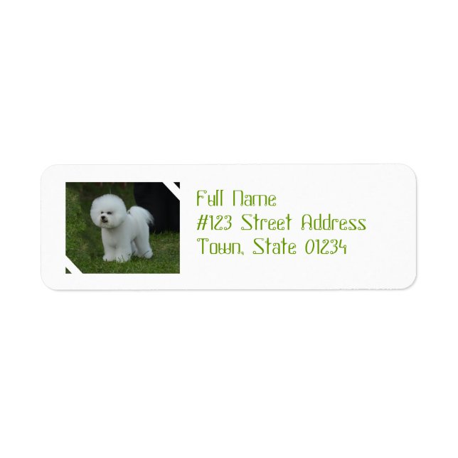 Adorable Bichon Return Address Label (Front)