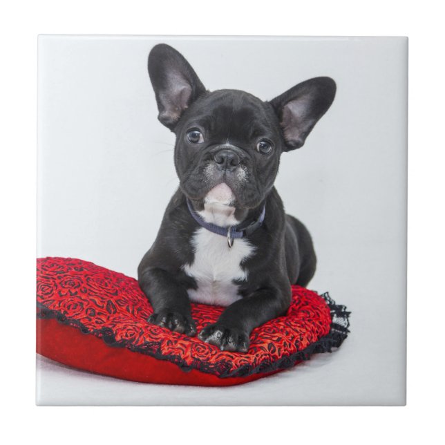 Adorable Black and White Bulldog Puppy Photo Ceramic Tile (Front)