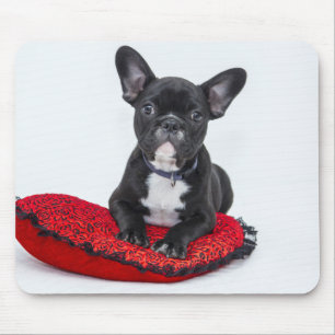 Adorable Black and White Bulldog Puppy Photo Mouse Pad