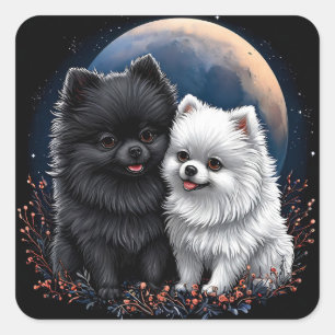 Adorable Black and White Pomeranian Puppies Square Sticker