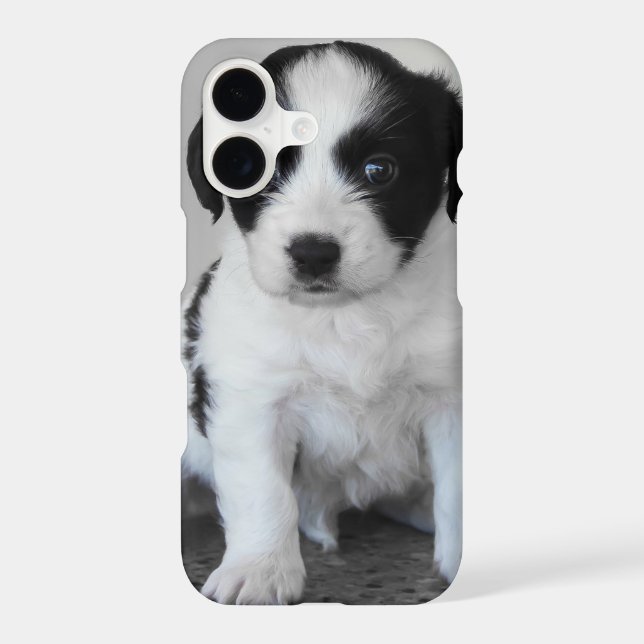 Adorable Black and White Puppy (Back)