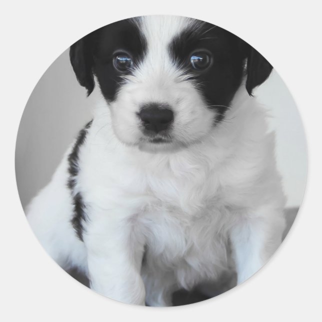 Adorable Black and White Puppy Classic Round Sticker (Front)