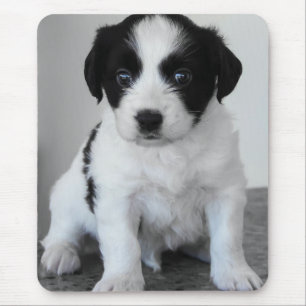 Adorable Black and White Puppy Mouse Pad