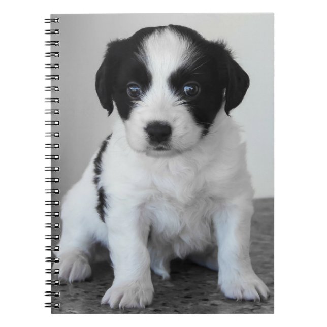Adorable Black and White Puppy Notebook (Front)