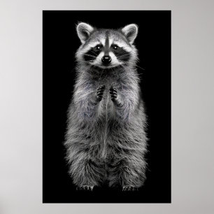Adorable Black and White Racoon Standing Poster