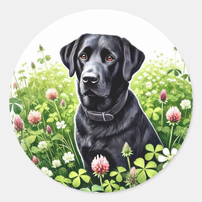 Adorable Black Lab in a Field of Clover Classic Round Sticker (Front)