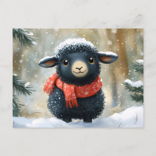 Adorable Black Lamb With Red Scarf Postcard