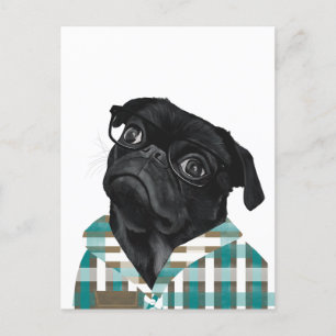 Adorable Black Pug With Glasses and Shirt Postcard