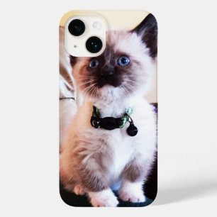 Adorable Blue Eyed Siamese Kitten Photograph Case-Mate iPhone 14 Case