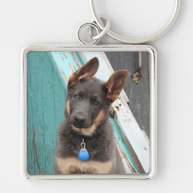 Adorable Blue German Shepherd Puppy Key Ring (Front)