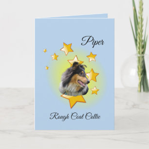 Adorable Blue Rough Coat Collie is a Star Card