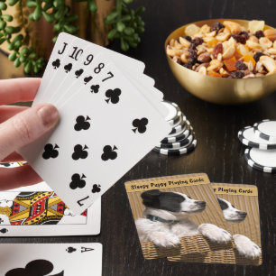 Adorable Border Collie Heeler Sleepy Puppy Playing Cards