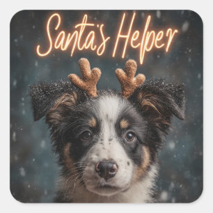 Adorable Border Collie Puppy as Santa's Helper Square Sticker