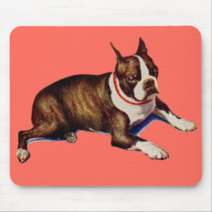 adorable Boston terrier Mouse Pad