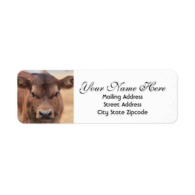 Adorable Brown Calf Return Address Label (Front)