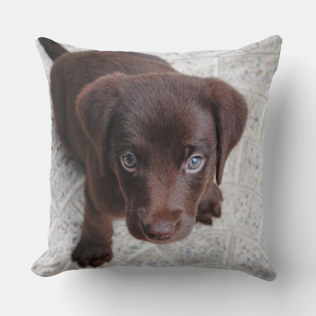 Adorable brown puppy throw pillow (Front)