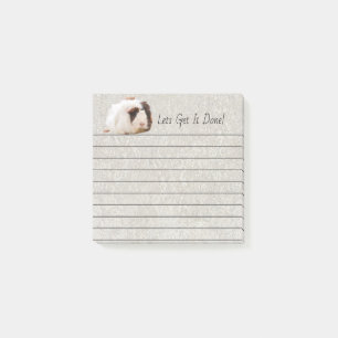Adorable Brown White Guinea Pig Pet Photograph Post-it Notes
