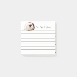 Adorable Brown White Guinea Pig Pet Photograph Post-it Notes