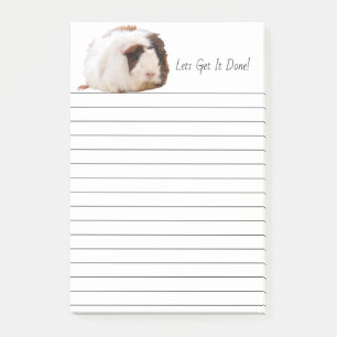 Adorable Brown White Guinea Pig Pet Photograph Post-it Notes