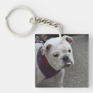 Adorable Bulldog Key Ring