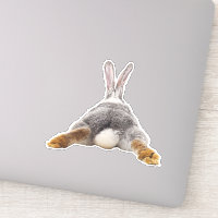 Adorable Bunny Rabbit Butt Tail