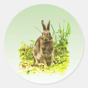 Adorable Bunny Rabbit in Grass Sticker