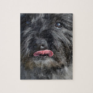 Adorable Cairn Terrier Jigsaw Puzzle