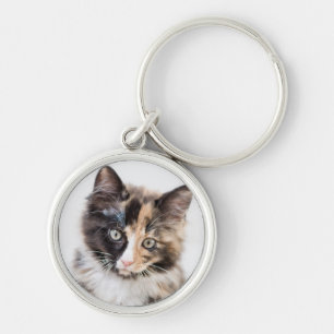 Adorable Calico Kitten Key Ring