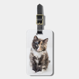 Adorable Calico Kitten Luggage Tag