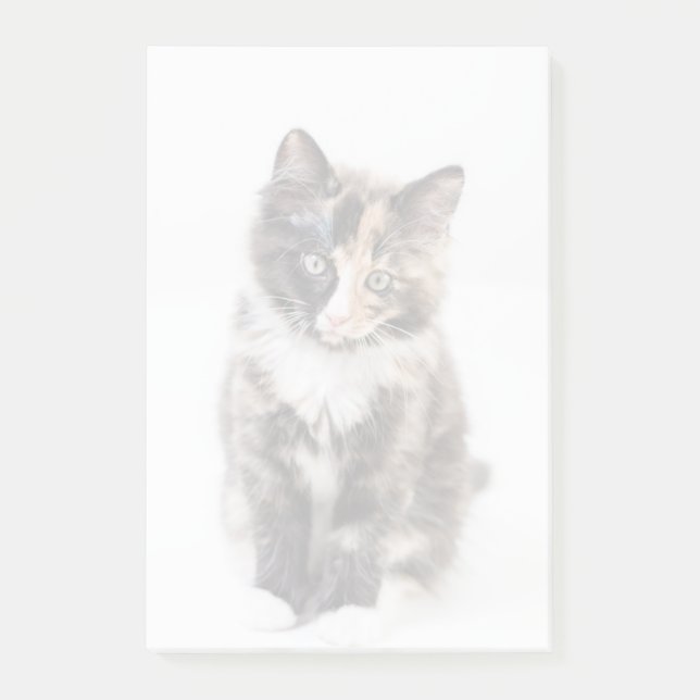Adorable Calico Kitten Post-it Notes (Front)