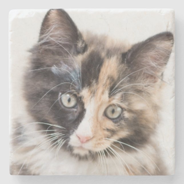 Adorable Calico Kitten Stone Coaster (Front)