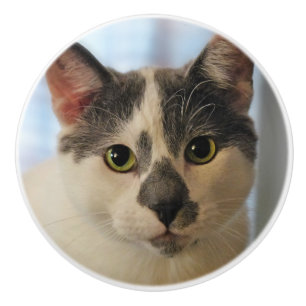 Adorable Cat Ceramic Knob